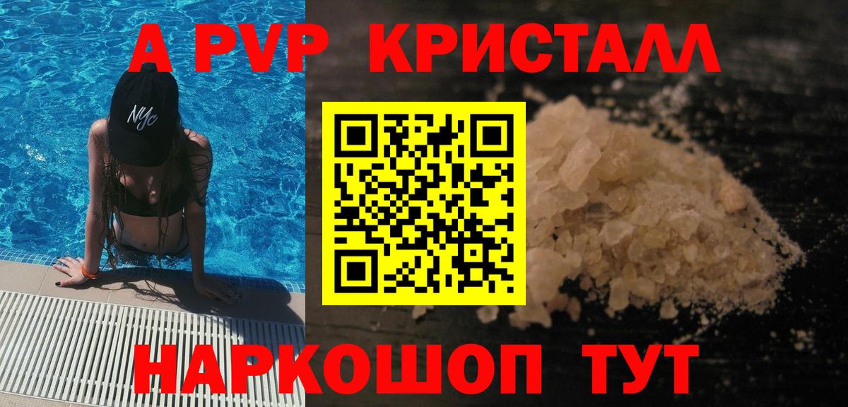 A PVP СК КРИС Воронеж