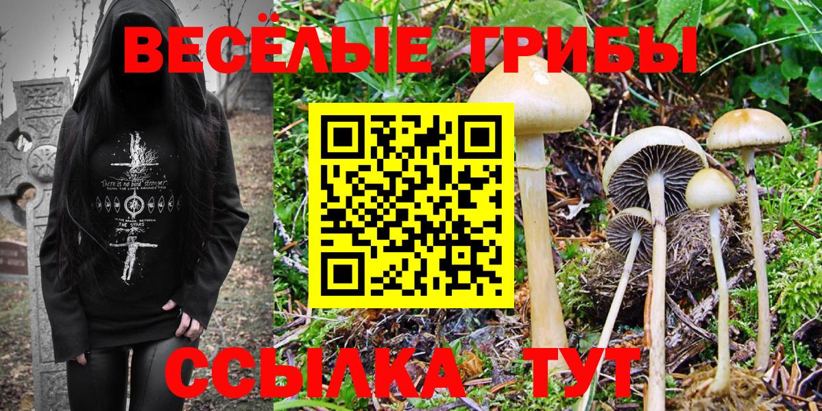Псилоцибиновые грибы Psilocybe  Вход с VPN  купить наркотики сайты  Галлюциногенные грибы мицелий  Воронеж 