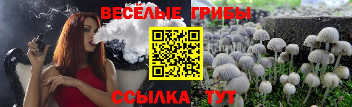 Псилоцибиновые грибы Psilocybine cubensis Воронеж